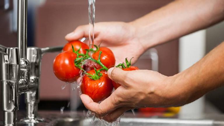 Importance Of Food Sanitation