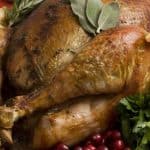 Turkey, thanksgiving